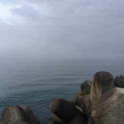 ショアジギング