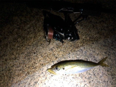 メバリング&アジング