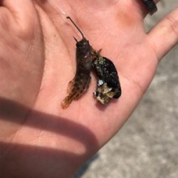 落とし込み特訓