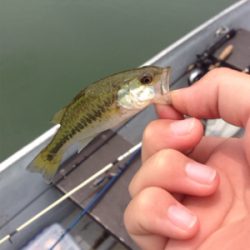 去年より渋くなった!?