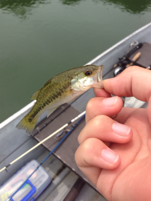 去年より渋くなった!?