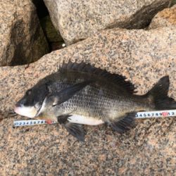 いい濁りで高活性！