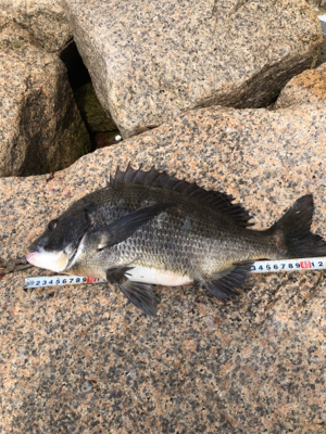 いい濁りで高活性！