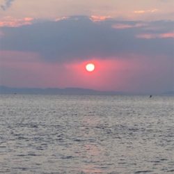 アオリ降臨‼️