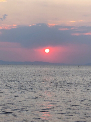 アオリ降臨‼️