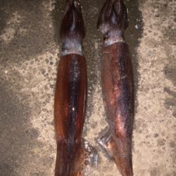 函館と言えば、、、