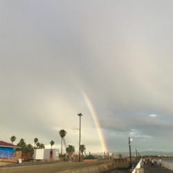 サビキは良く釣れます^ ^