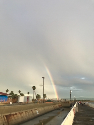 サビキは良く釣れます^ ^