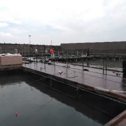 海上釣堀オーパ！！