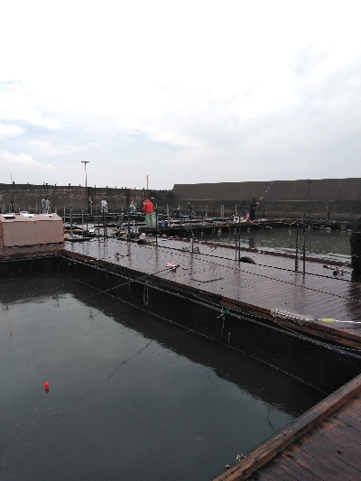 海上釣堀オーパ！！