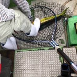 孝洋丸 落とし込み