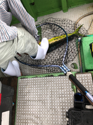 孝洋丸 落とし込み