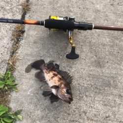 山田〜大船渡にて