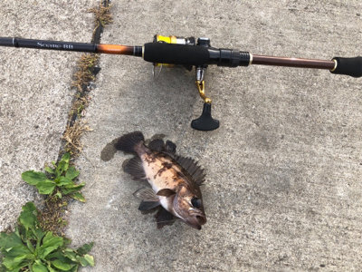 山田〜大船渡にて