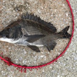 台風通過後の楽しみ！