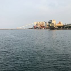 ツバス！！！！