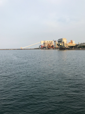 ツバス！！！！