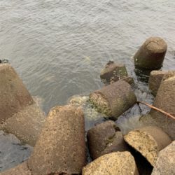 ショアタコ爆発!