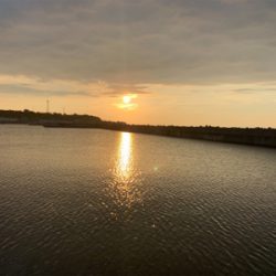 マズメのアジング