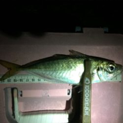 台風一過ライトゲーム