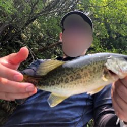 台風後の七色ダム