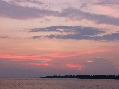 何か釣れればと