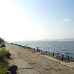 久しぶりの空港