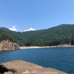 マルヒサ渡船上物釣り