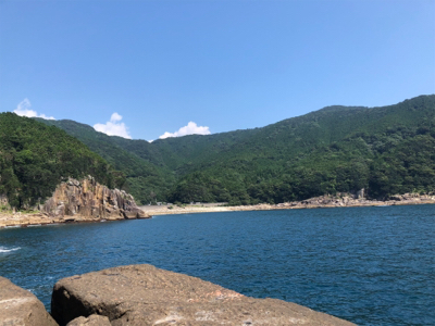 マルヒサ渡船上物釣り