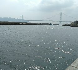 コブダイ釣りのリベンジ