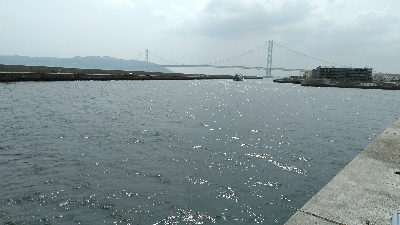 コブダイ釣りのリベンジ