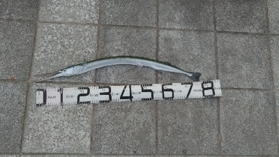 7/27釣果　ヒラメ太刀魚ダツアジ豆アジ