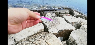 シャローエリアで小型青物を追う。