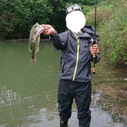 トップウォーター