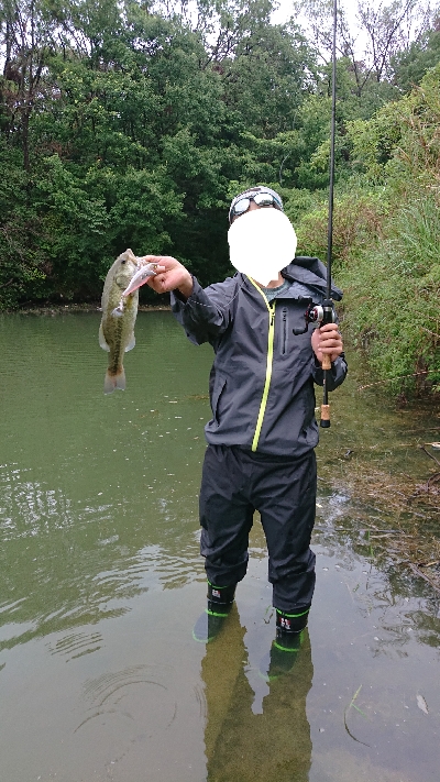 トップウォーター