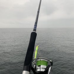 出勤前のツバス