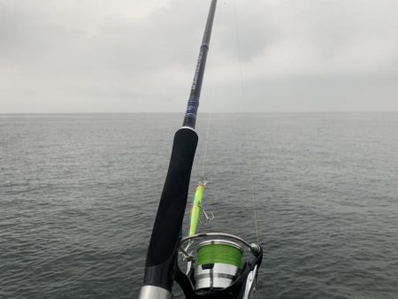 出勤前のツバス