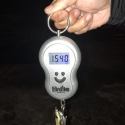 アオリ、キロオーバー