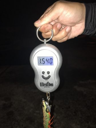 アオリ、キロオーバー