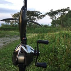 つりぴぃぽぉ釣果