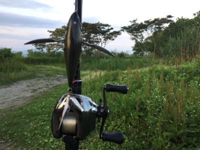 つりぴぃぽぉ釣果