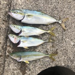 隣の人はいっぱい釣れてたけど、、