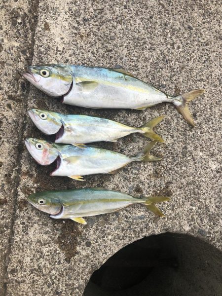 隣の人はいっぱい釣れてたけど、、