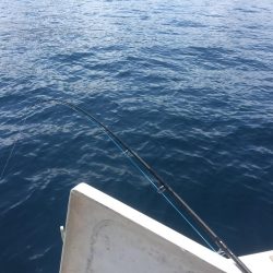 ジク、タイラバ、を頑張ってきました。