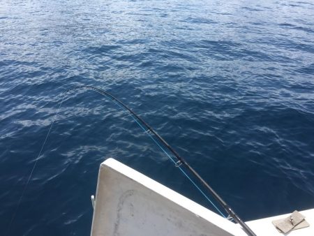 ジク、タイラバ、を頑張ってきました。