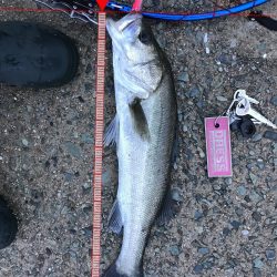 雨上がりはいい