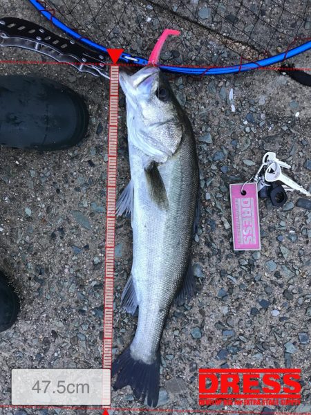 雨上がりはいい