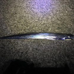 小浦一文字でシーラゲーム