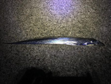 小浦一文字でシーラゲーム