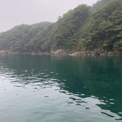 雨の中、たった１匹